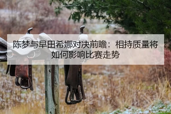 陈梦与早田希娜对决前瞻：相持质量将如何影响比赛走势
