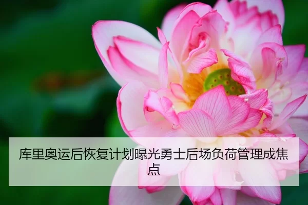 库里奥运后恢复计划曝光勇士后场负荷管理成焦点
