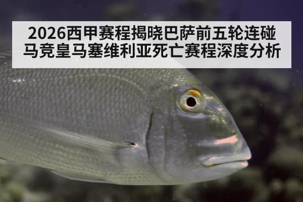 2026西甲赛程揭晓巴萨前五轮连碰马竞皇马塞维利亚死亡赛程深度分析